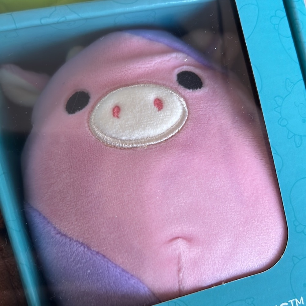 Squishmallows NIB 16 5” - Picture 12 of 14